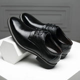 Pantofi clasici Roma Wingtip