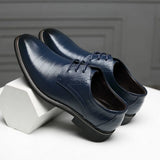 Pantofi clasici Roma Wingtip