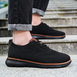 Pantofi Navi Mesh